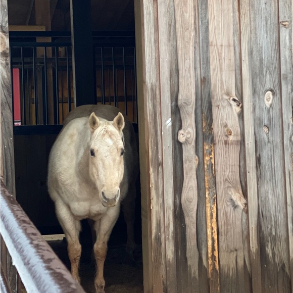 Meet your Posher, Leann - Picture 9 of 11